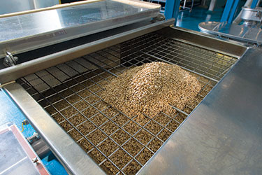 Schüttgut-Großprojekt zur Förderung der glutenfreien Lebensmittelproduktion der Bakery On Main